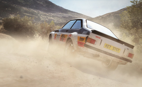 DiRT Rally screenshot