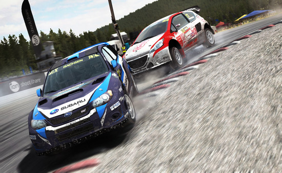 DiRT Rally screenshot