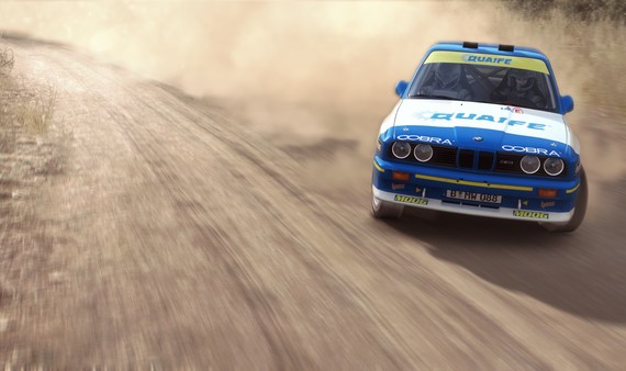 DiRT Rally screenshot