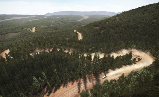 DiRT Rally screenshot