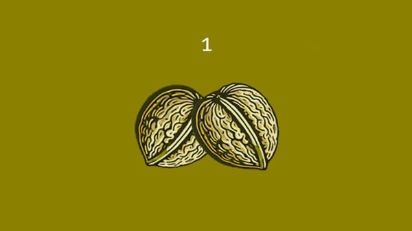 Nuts screenshot