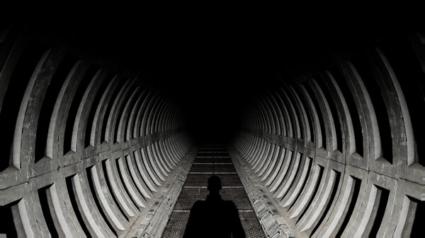 ENTWINE screenshot 4