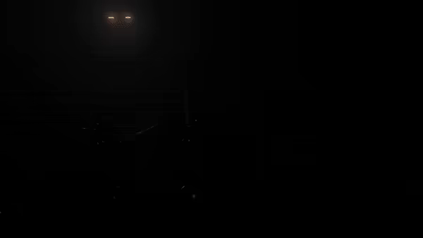 ENTWINE video 4