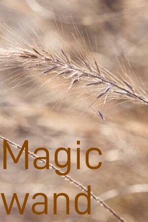 Magic wand — Steam catalog