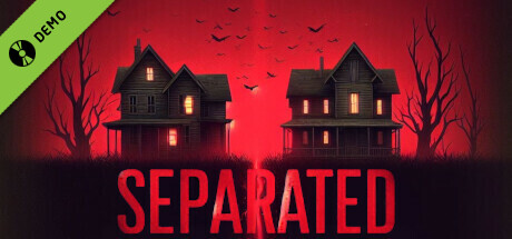 Separated Demo banner