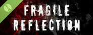 Fragile Reflection Demo