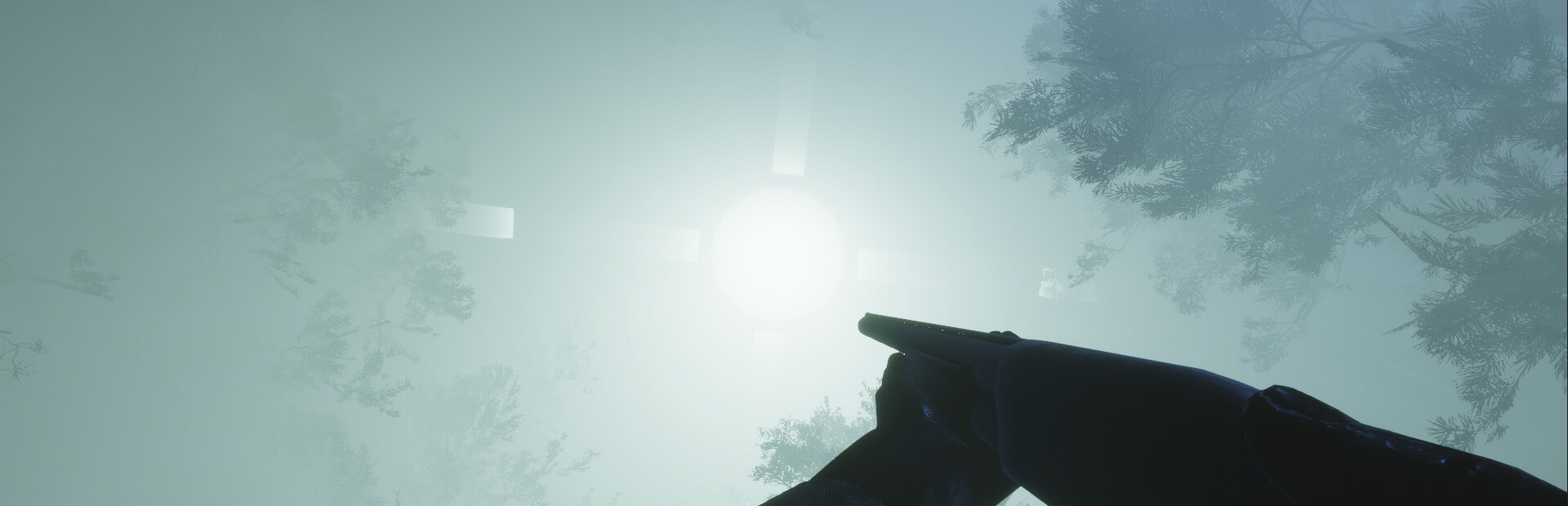Lights In The Sky