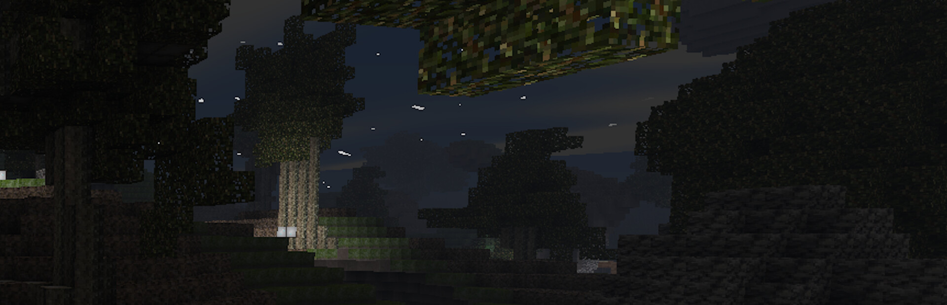 Distant Garden
