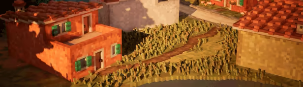 Town to City video 3