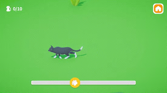 Cats And The Timeline video 1