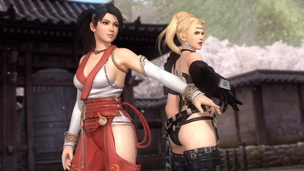 DEAD OR ALIVE 5 Last Round screenshot 4