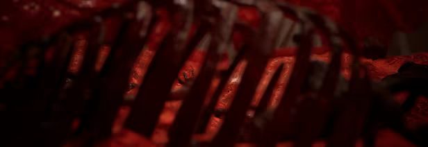 Another Hope video 2