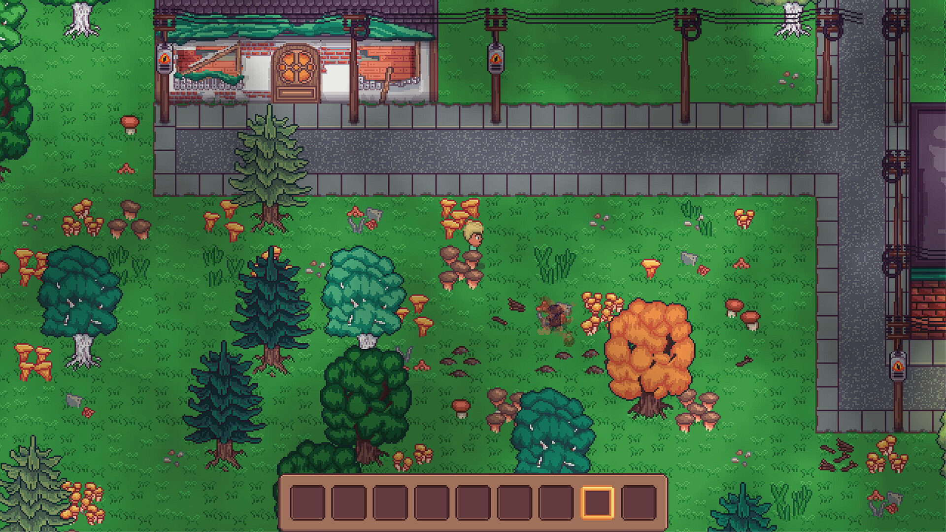 Growth: Automate & Collect screenshot 3