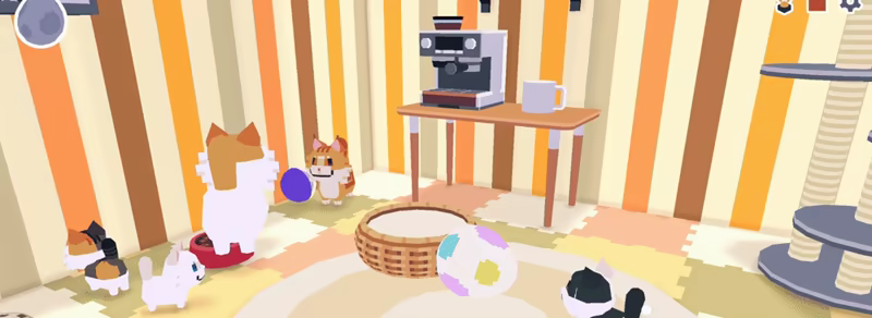 CatCat video 2