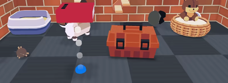 CatCat video 4