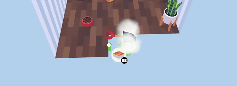 CatCat video 3
