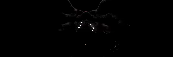 Habilis video 1