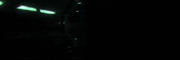 Habilis video 2
