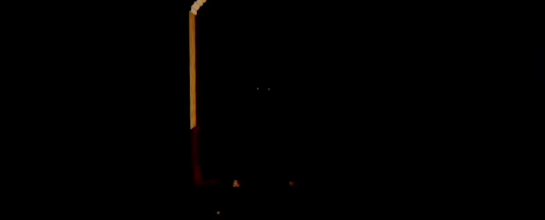 COMING HOME video 2