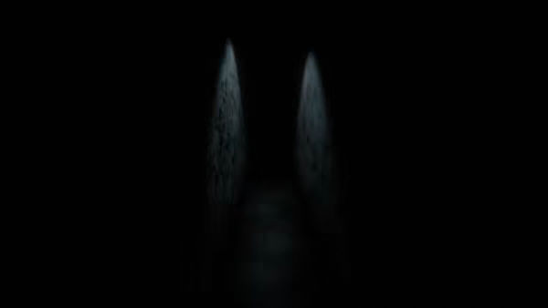 The Sunday video 1
