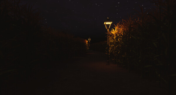 CornField screenshot 5