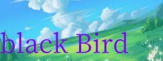 black Bird