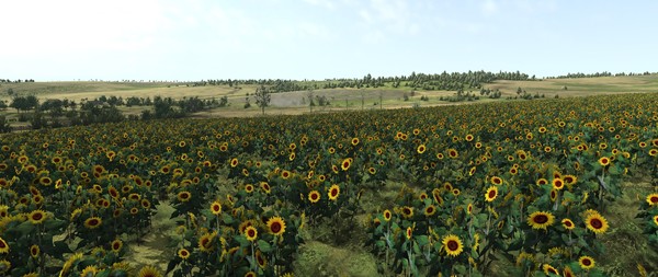 Thumbnail 62