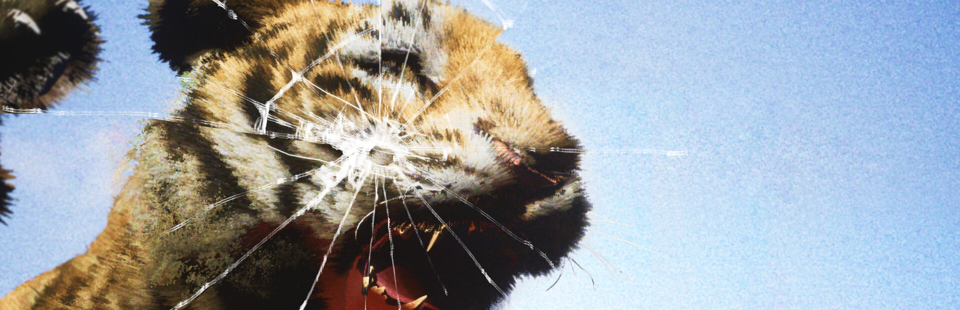 Wildlife Warfare