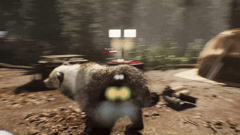 Wildlife Warfare video 1