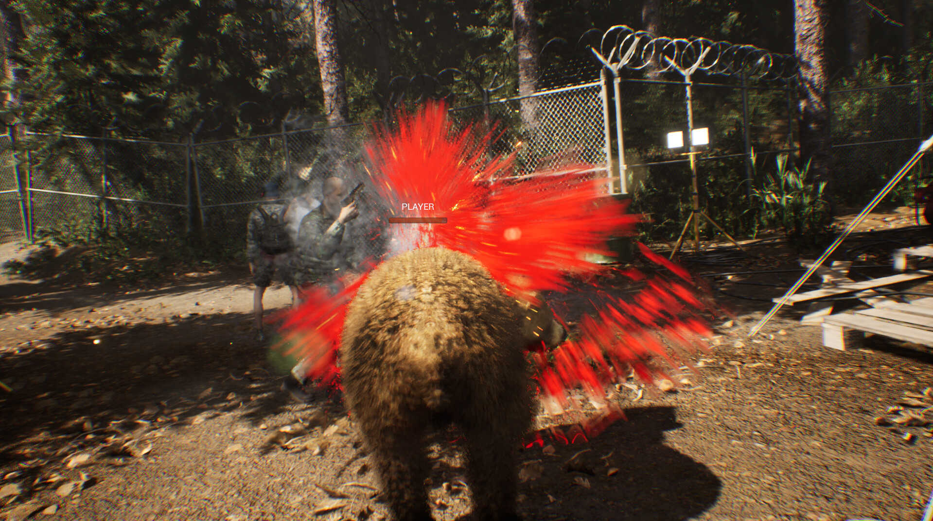 Wildlife Warfare screenshot 2