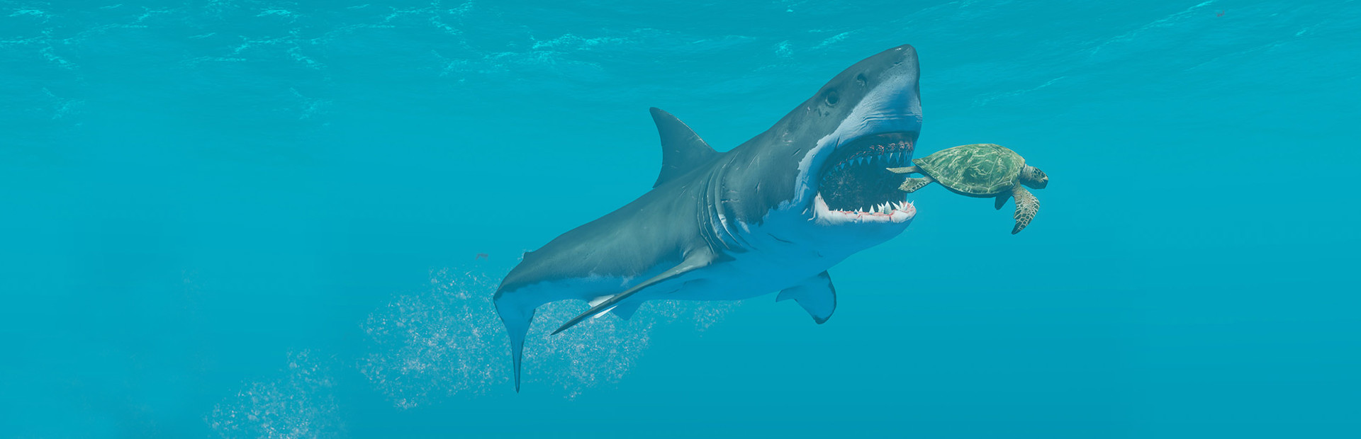 《荒岛求生(Stranded Deep)》1.0.6.0.17