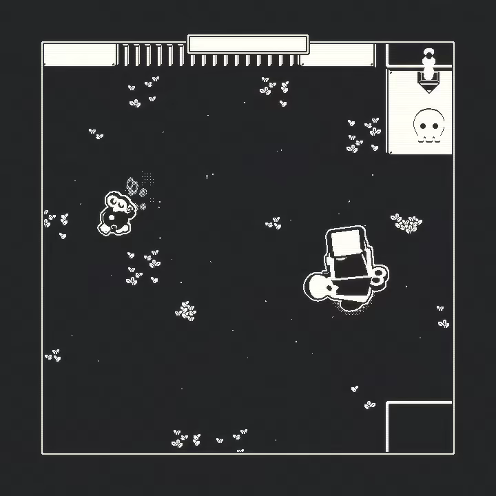 Lelu video 1