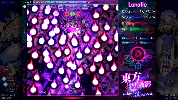 東方聖戦影 ～ Forlorn Souls of Wicked Past screenshot 2