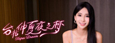 台北仲夏夜之梦 game cover