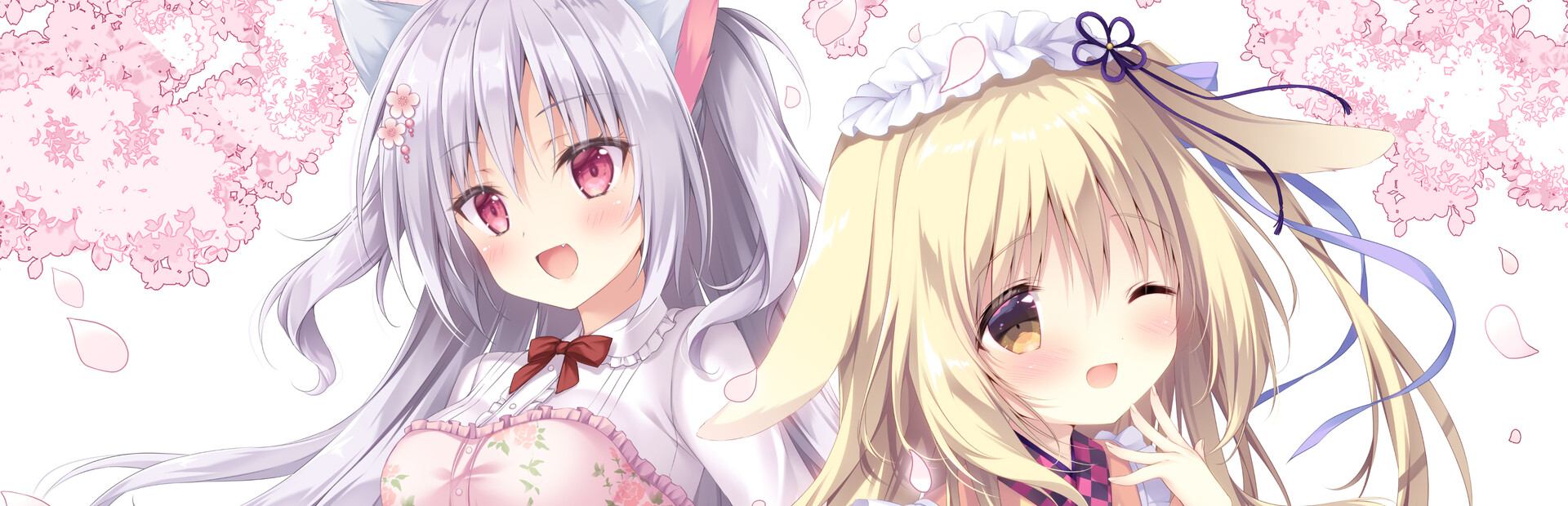 Amairo Chocolate 3