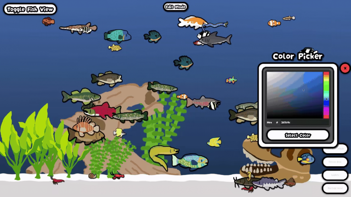 Cozy Aquarium video 3