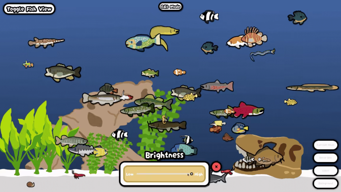 Cozy Aquarium video 4
