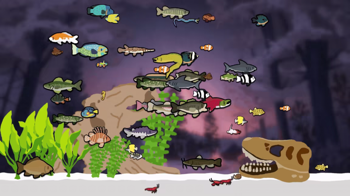 Cozy Aquarium video 5