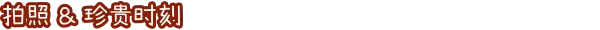 兔兔岛