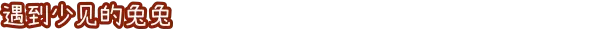 兔兔岛