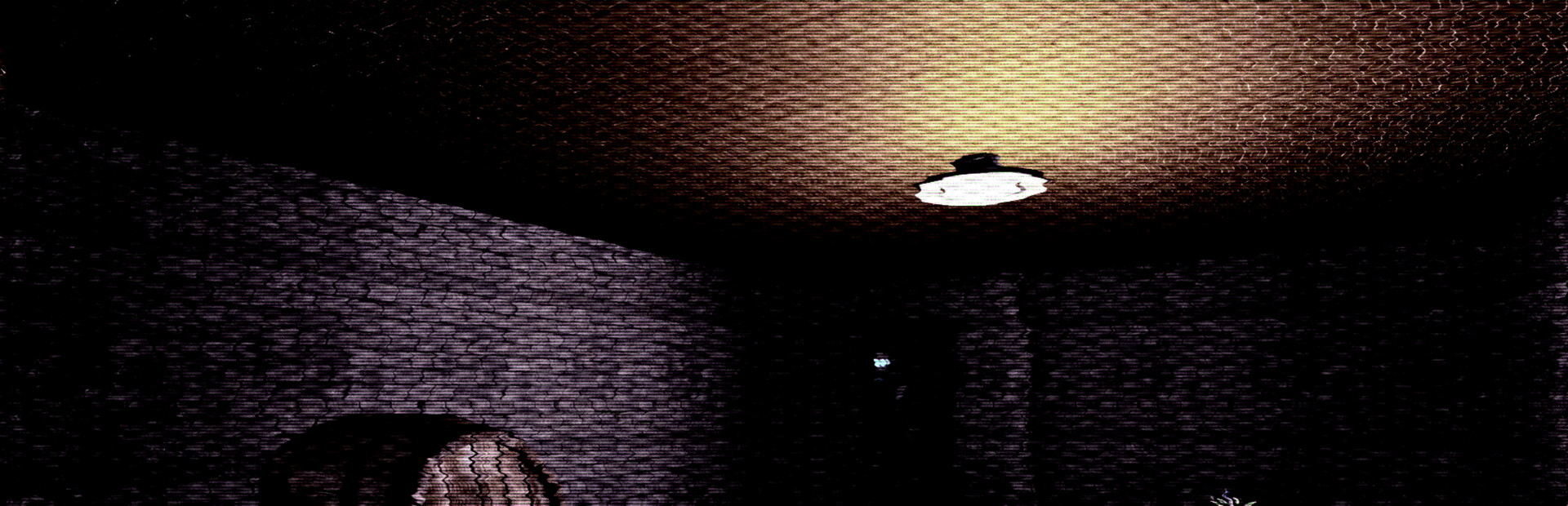 Nocturnal Nemesis