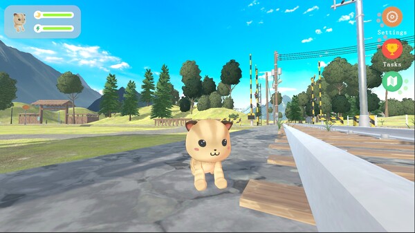 喵与时光的街角.