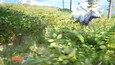 Screenshot #5