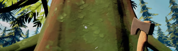 Stillmere video 4