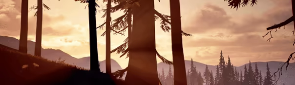 Stillmere video 1