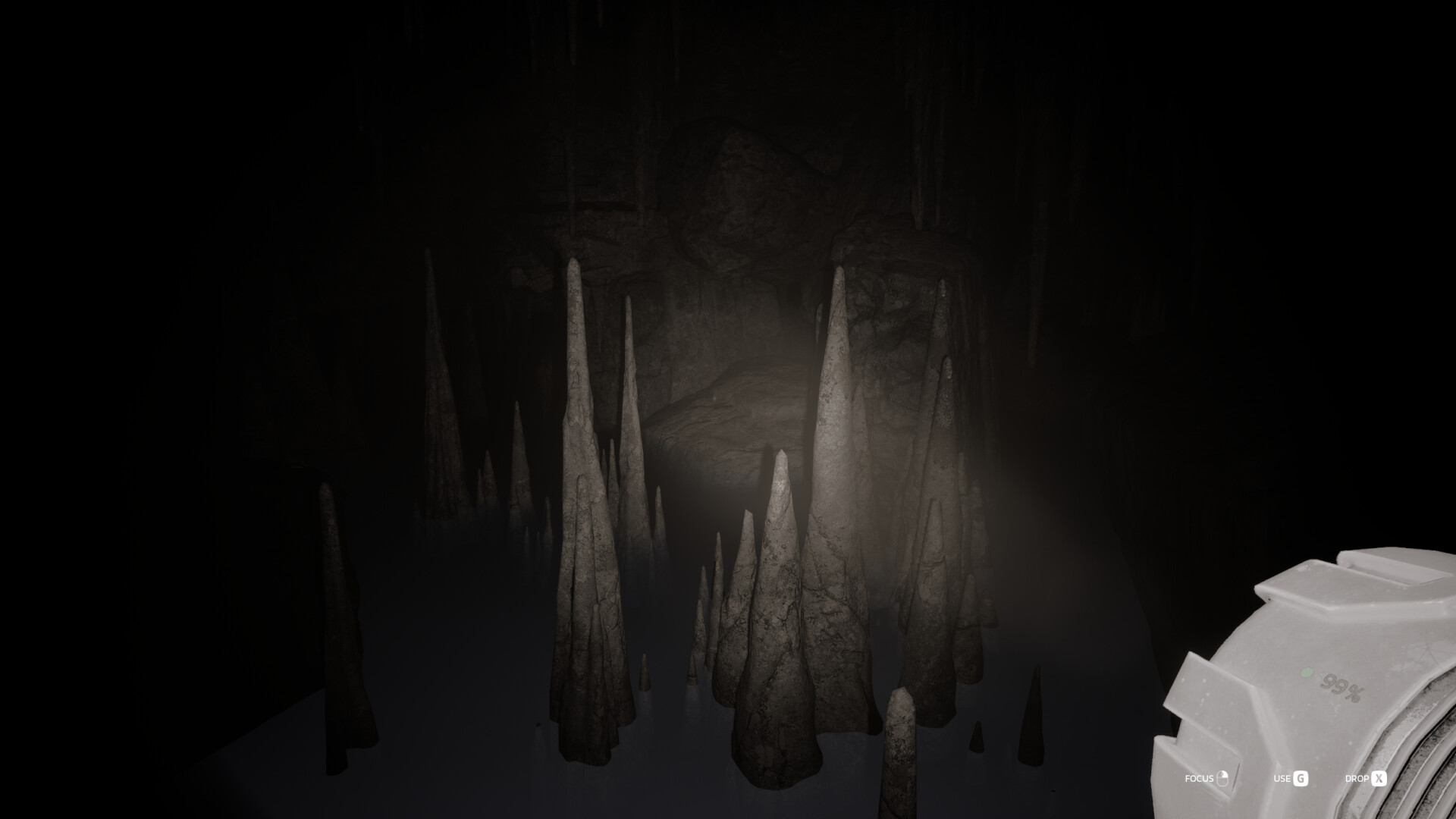 Echoing Silence screenshot #4