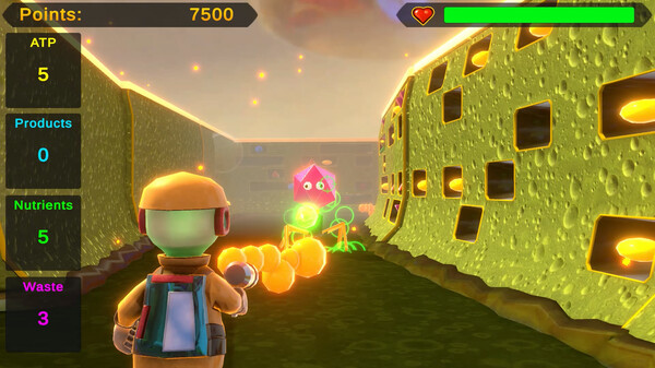 Screenshot 11