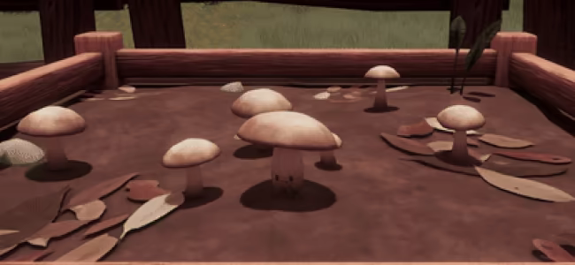 Havenroot Vale video 4
