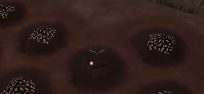Havenroot Vale video 3