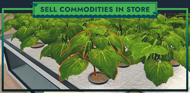 Hydroponics Farm & Store Simulator video 3